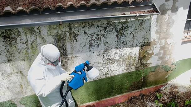 Top rated local Mold Removal specialists in Topsfield, MA